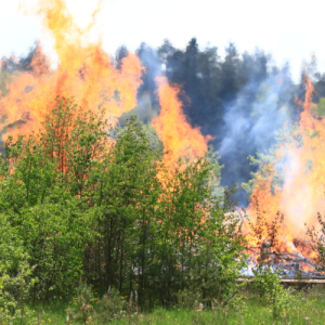 How California’s Wildfire Crisis is Shaping Legal Claims